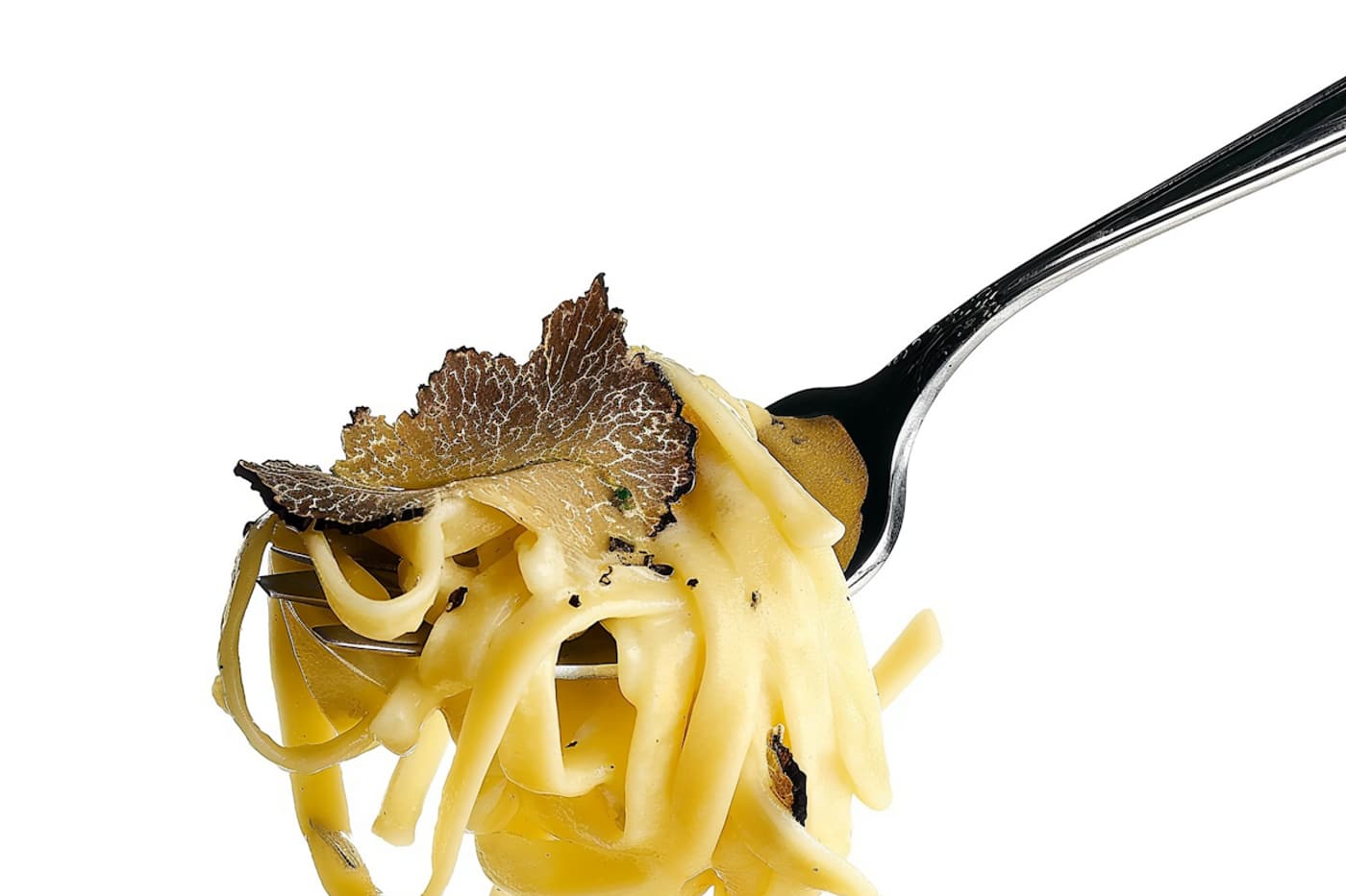 Creamy fettuccine topped with shaved black truffle, lifted on a fork.